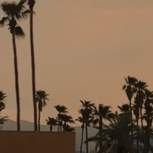 Meet your Posher, Raegan